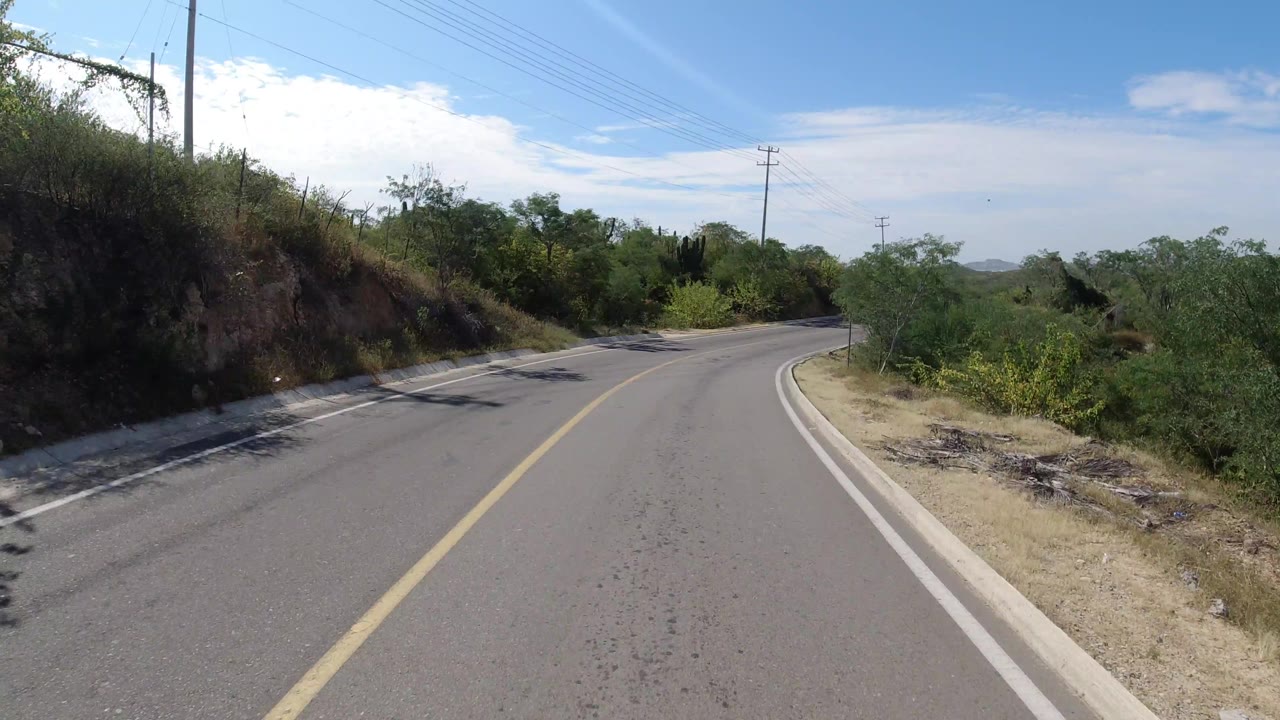 The Los Cabos road continues around a gentle bend beside a darker cut bank, low green vegetation, overhead utility lines, and no visible people.