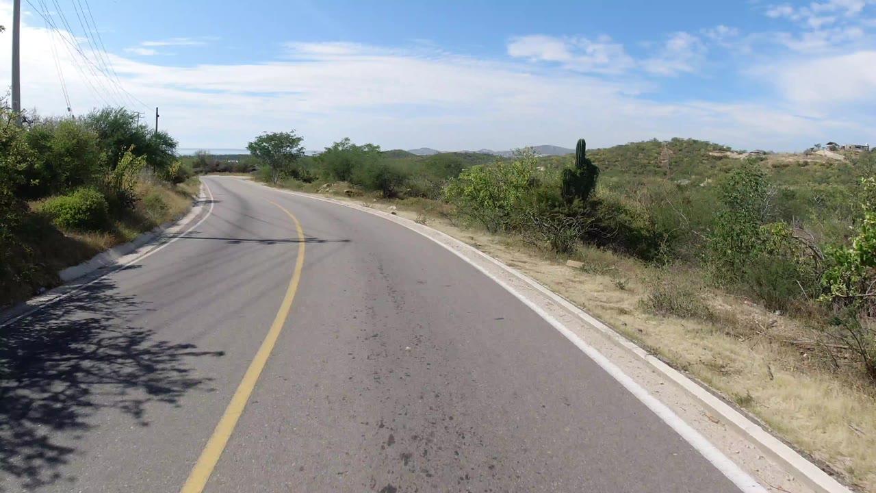 Empty paved road curving through dry roadside vegetation.