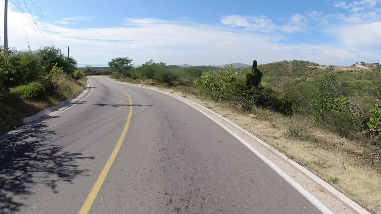 A forward-facing road view in Los Cabos, Mexico, shows the yellow center line bending left beside scrubby vegetation, cactus, utility wires, and low hills, with no visible people.
