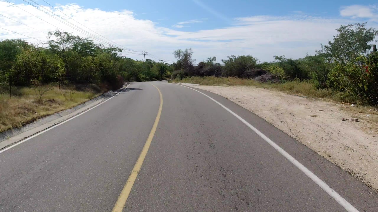 Forward view along a curving paved road in Los Cabos, Mexico, with desert shrubs, utility lines, dry roadside shoulders, and no visible people.