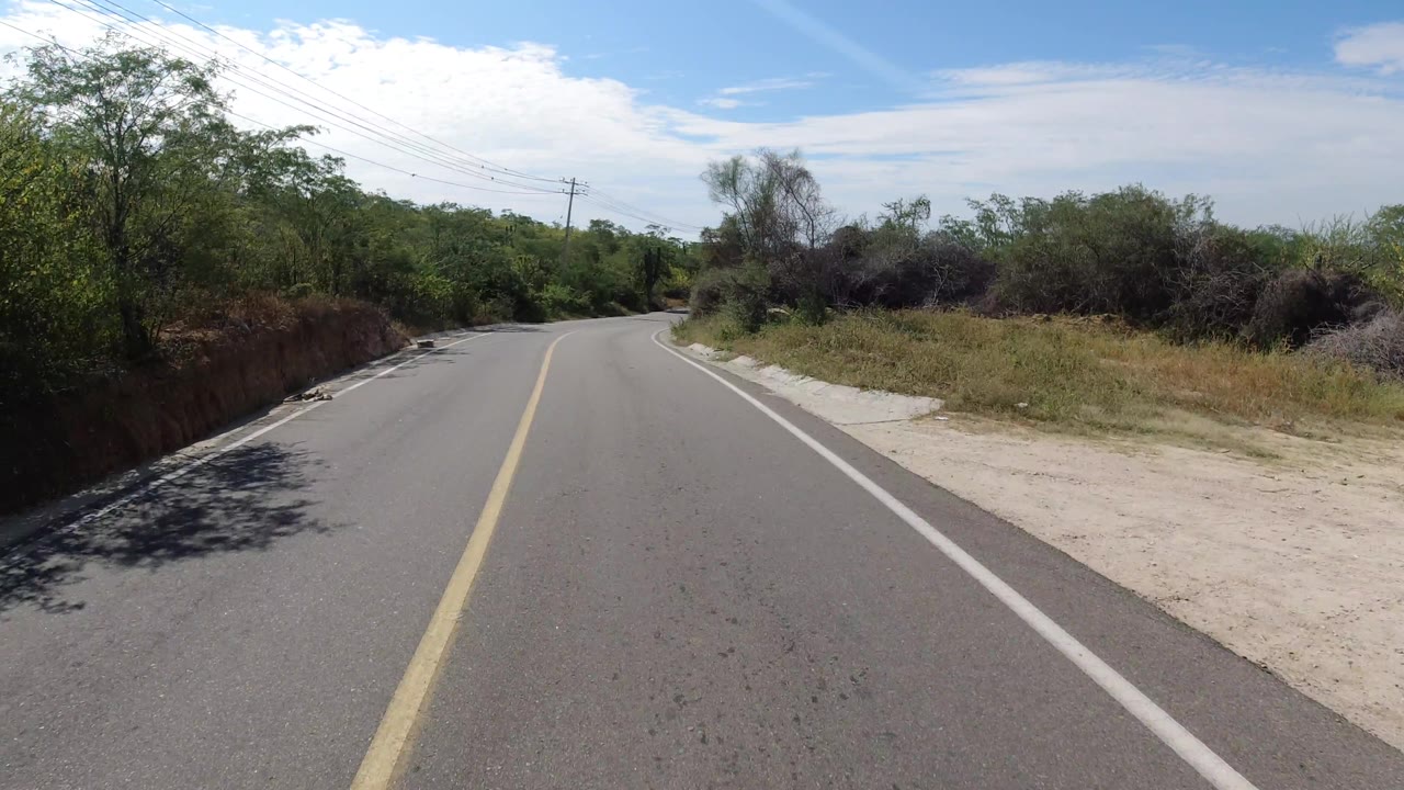 Empty winding road with a sandy shoulder and dense roadside shrubs.
