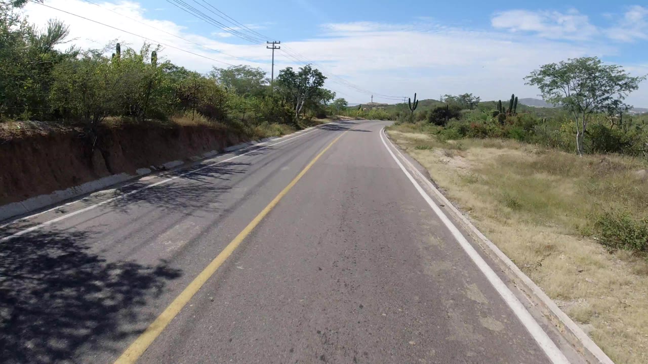 Los Cabos road scene with the asphalt centered in frame, a shaded bank of trees on the left, dry grass and brush on the right, overhead wires, distant hills, and no visible people.