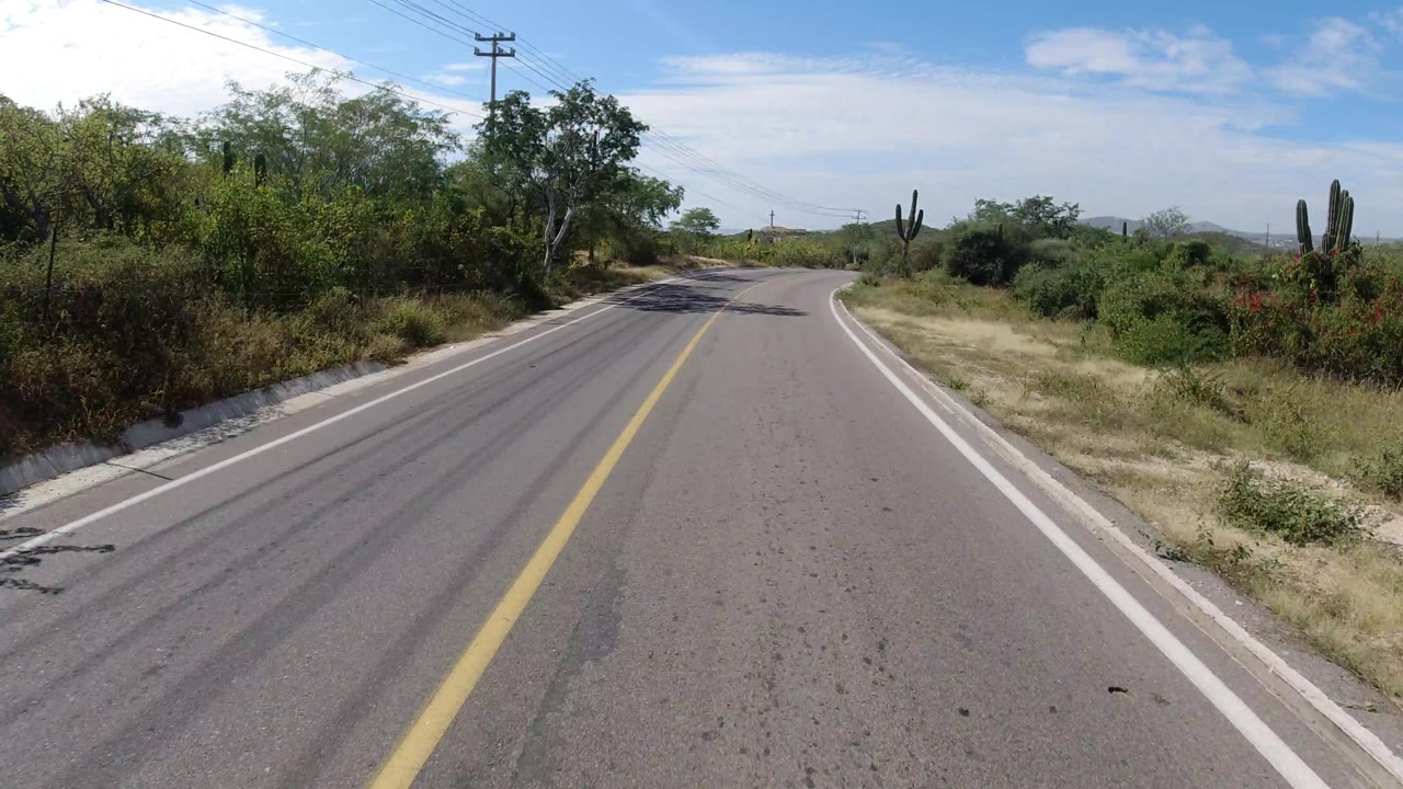 Curving two-lane road bordered by desert brush and tall cactus under bright sun.