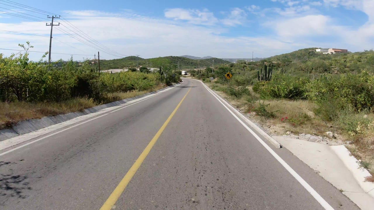Winding desert road with cacti and low hills