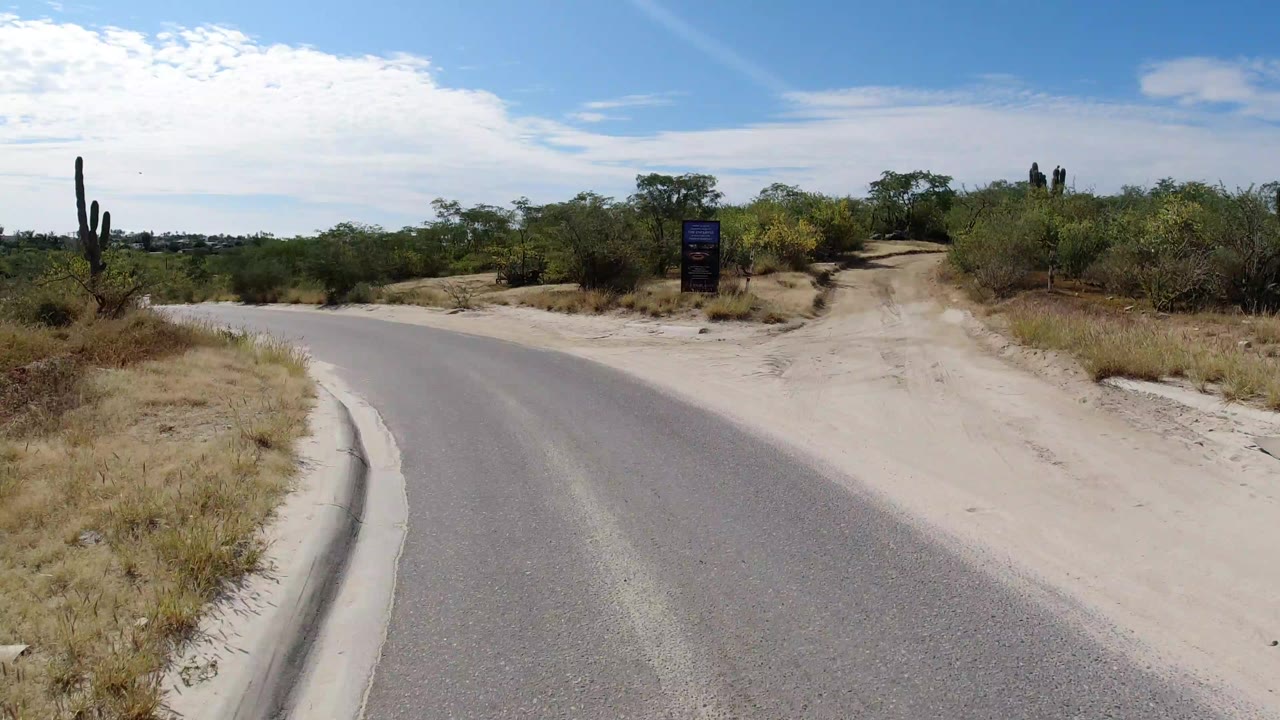 Curving paved road beside desert shrubs and cactus under a bright sky.