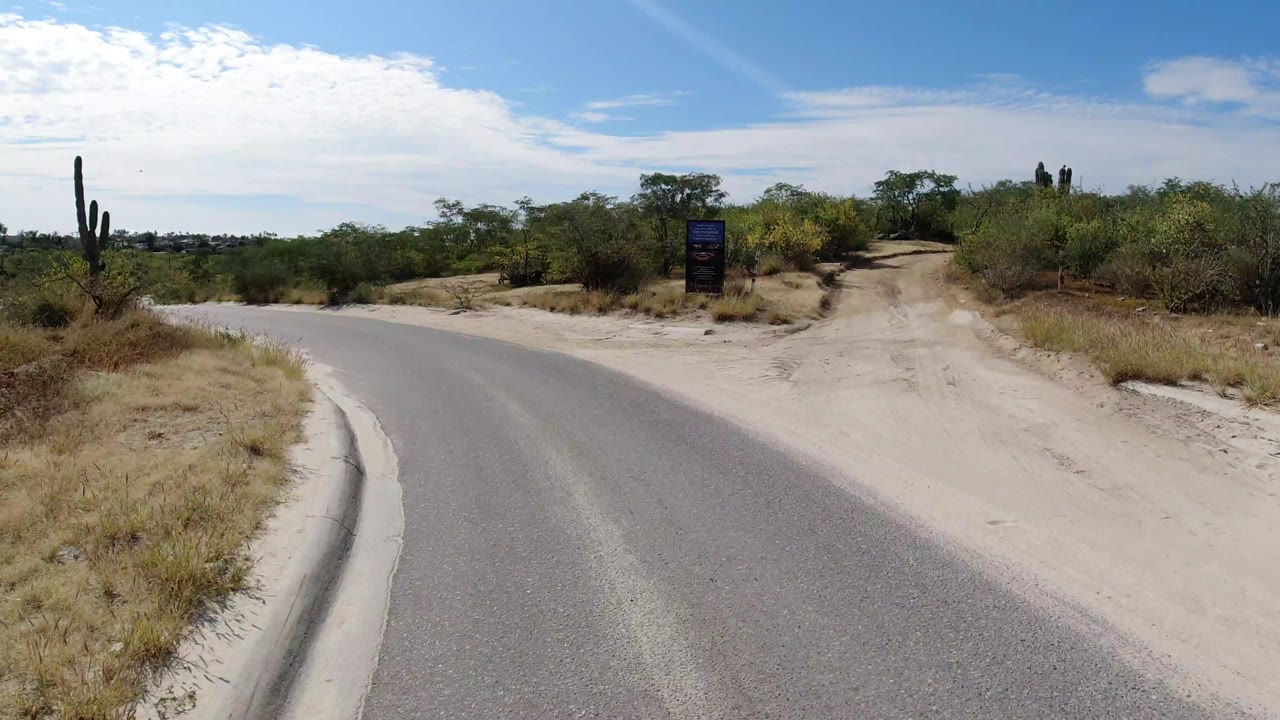 The road curves through Los Cabos, Mexico with a cactus left of center, scrubby vegetation on both sides, a small roadside sign, and no visible people.