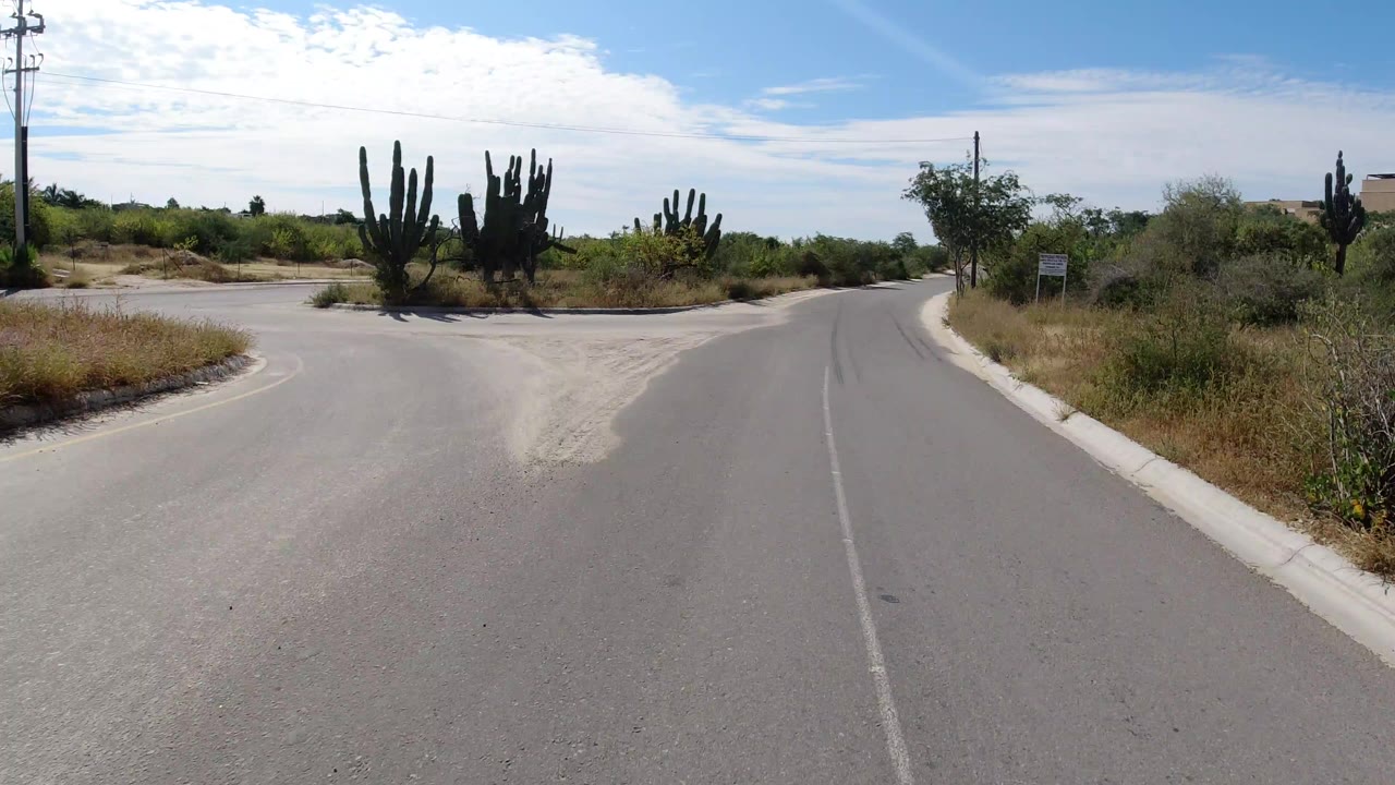 Paved road junction with cactus and desert shrubs under blue sky.