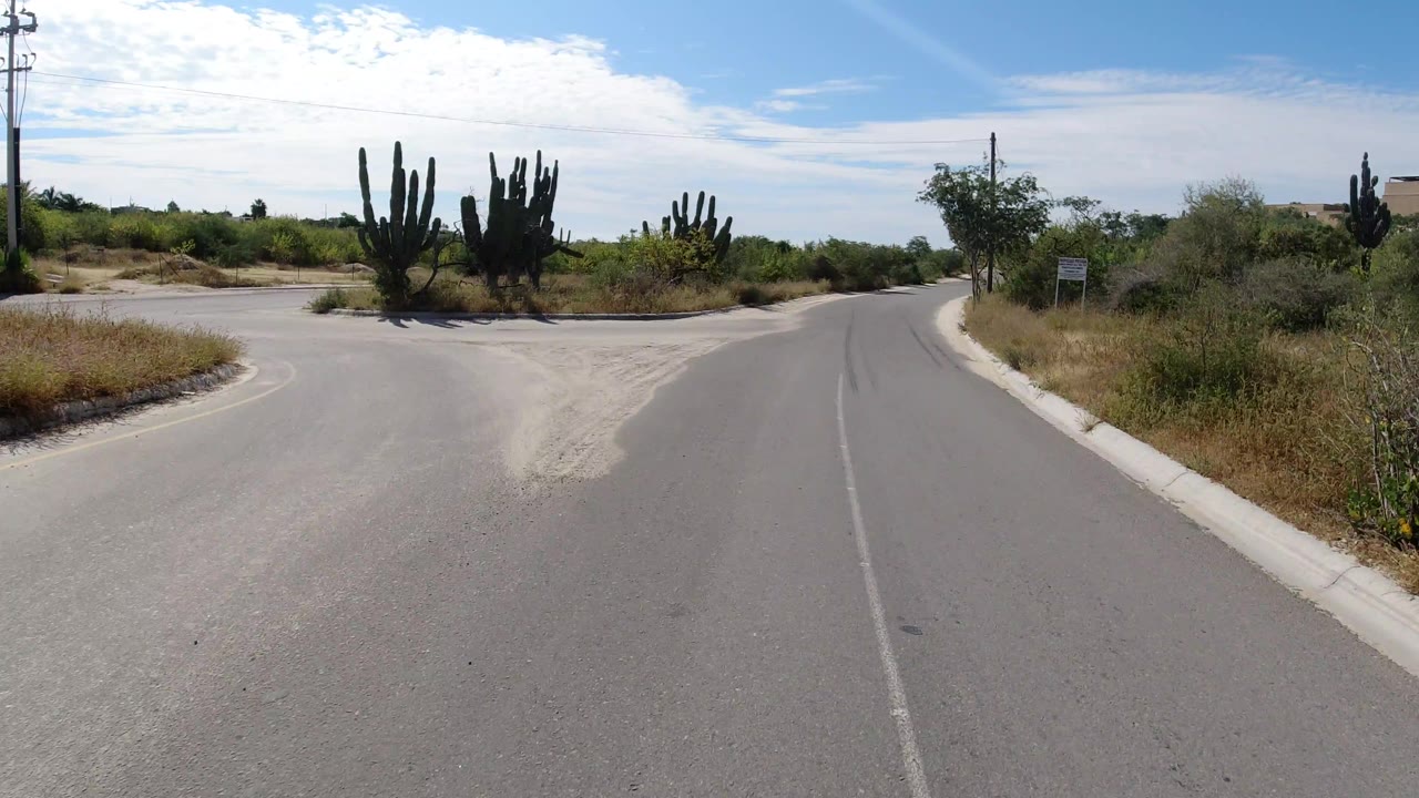 Los Cabos road curving past tall cactus, dry roadside plants, a utility pole, a small sign, and no visible people.