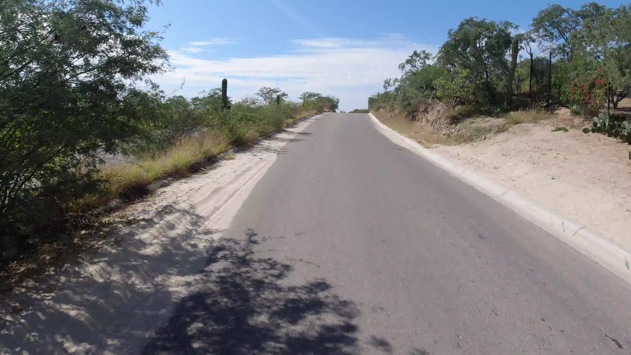 Forward view along a paved road in Los Cabos, Mexico, with sandy curbs, dry shrubs, roadside trees, blue sky, and no visible people.