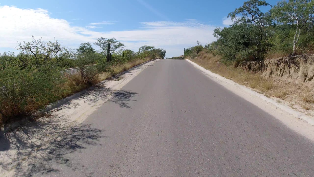 Roadway with desert brush, tree shadows, and low hills ahead.