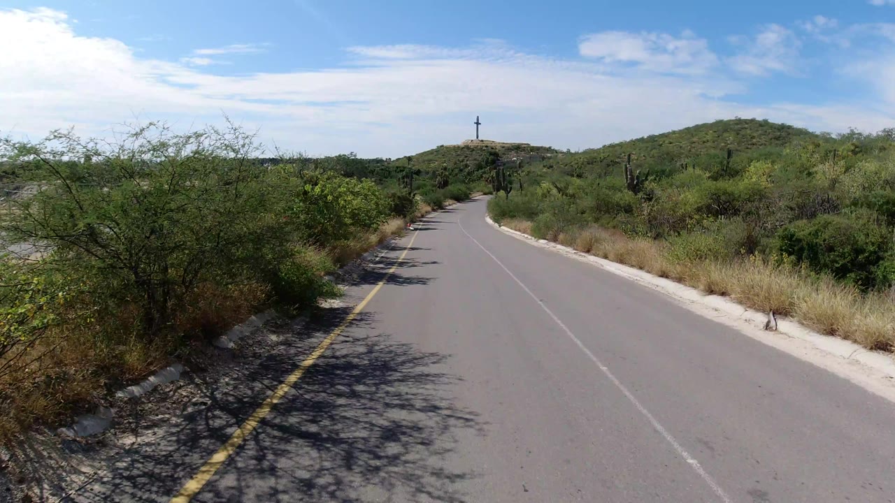 The Los Cabos road runs forward between scrubby roadside plants, with tree shadows on the asphalt and no visible people.