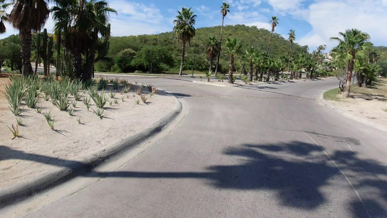 Los Cabos neighborhood roadway bordered by sandy planting beds, palms, trimmed greenery, distant hillside, and no visible people one second into the clip.