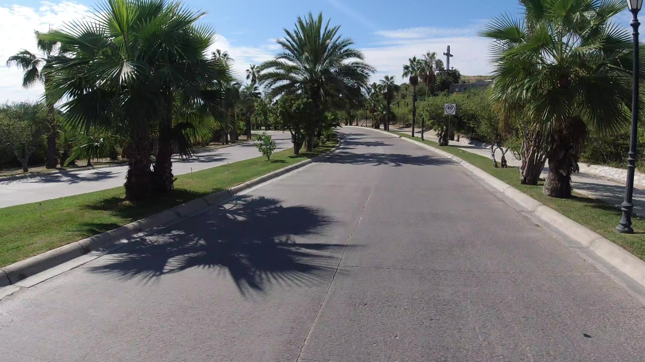Elevated view of a paved road in Los Cabos, Mexico, with palms on both sides, grass medians, a lamp post, distant low hills, and no visible people.
