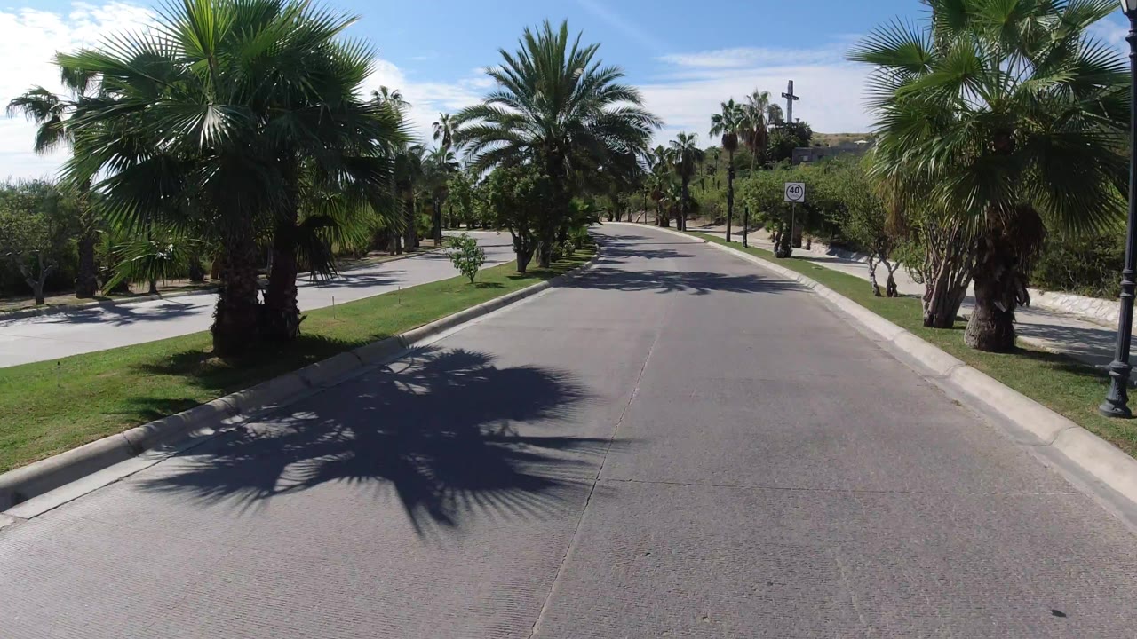 The road remains centered in Los Cabos, Mexico, with a large palm shadow across the pavement, trimmed grass beside the curb, lamp posts, and no visible people.