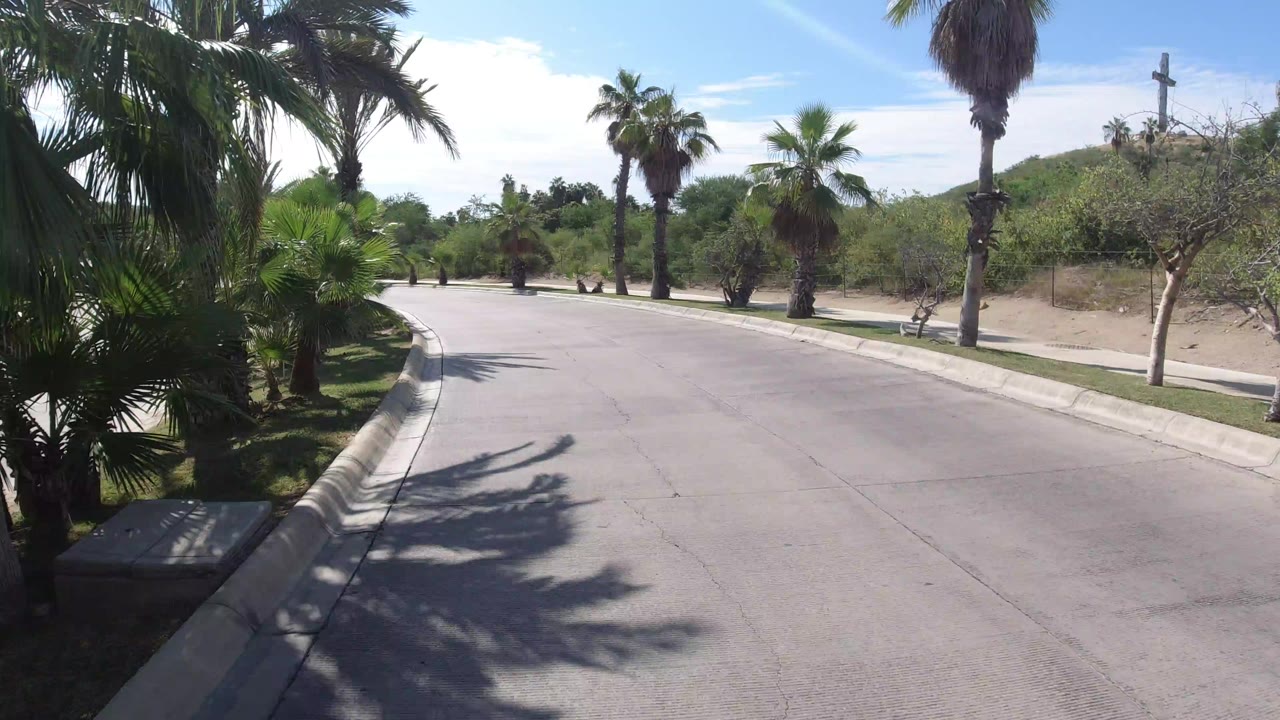 Elevated view of a curving concrete road in Los Cabos, Mexico, with palms, curb, desert shrubs, blue sky, and no visible people.