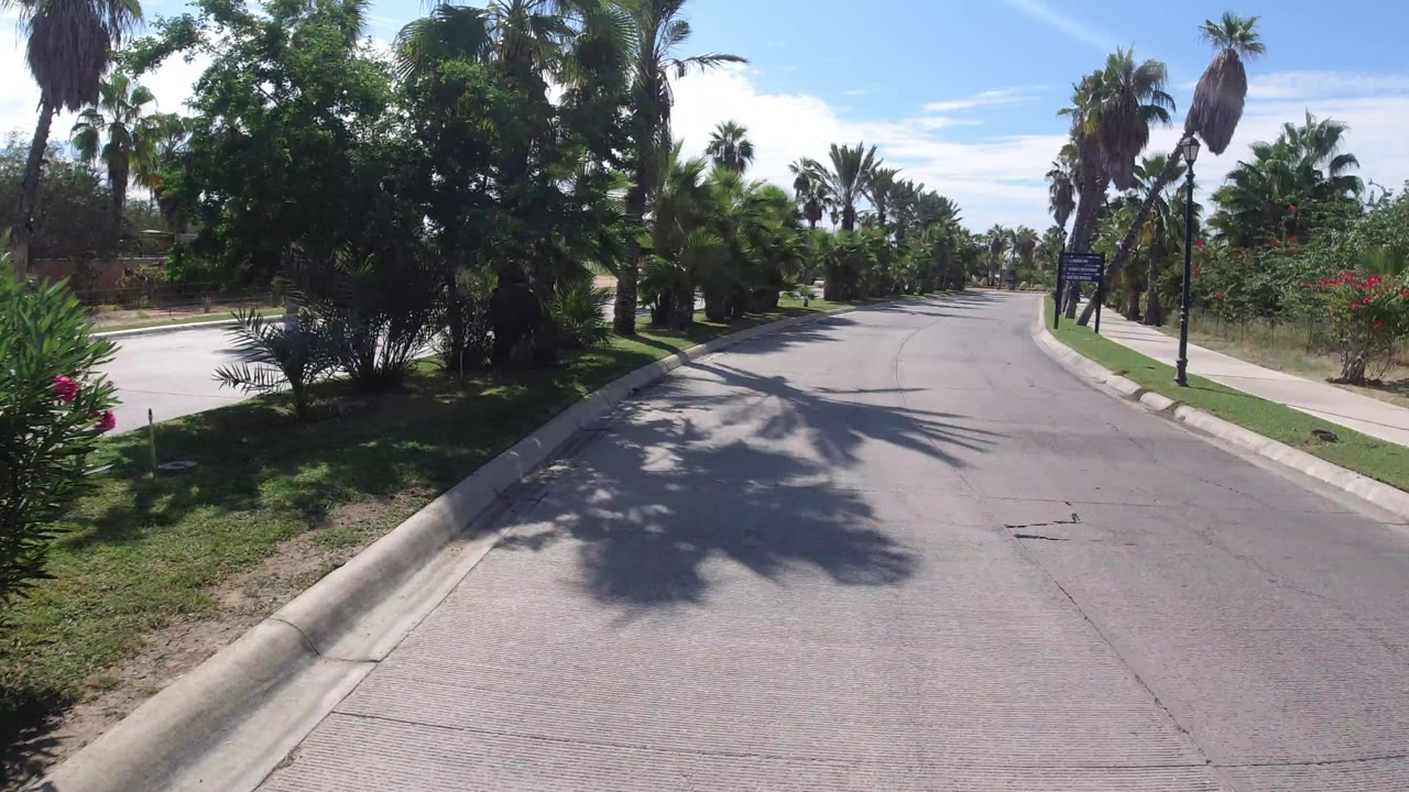 The Los Cabos road continues ahead past dense green palms, flowering shrubs, a sidewalk, and a small roadside sign with no visible people.