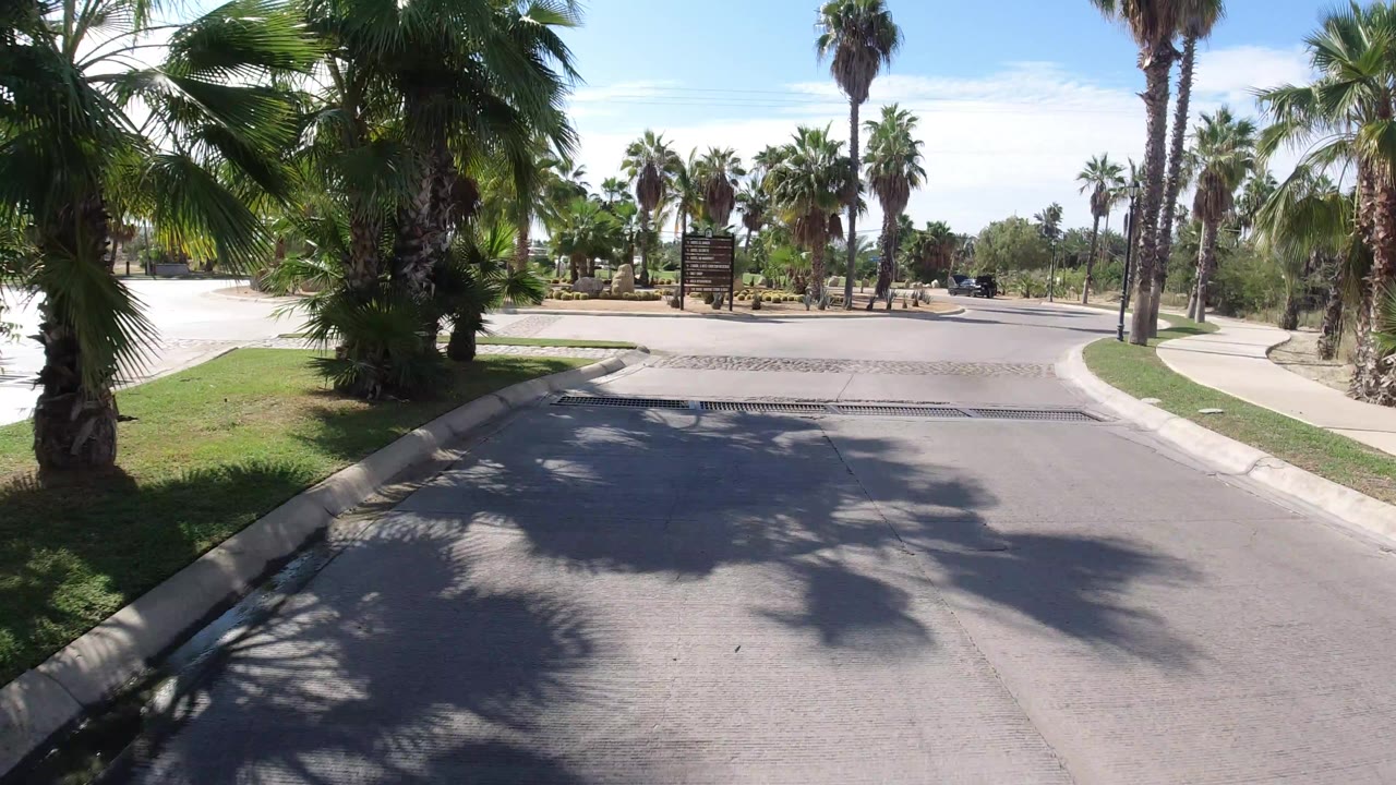 A Los Cabos road curves past palm trees, a cobblestone speed bump, curbside grass, and a roadside sign under bright sun, with no visible people in this frame.