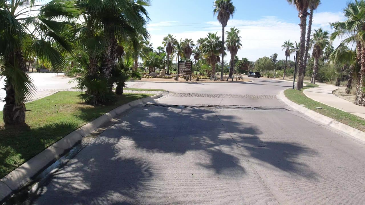 The Los Cabos roadway remains centered with palm trunks, a curb, sandy planting beds, and a dark vehicle in the distance under clear daylight, with no visible people in this frame.
