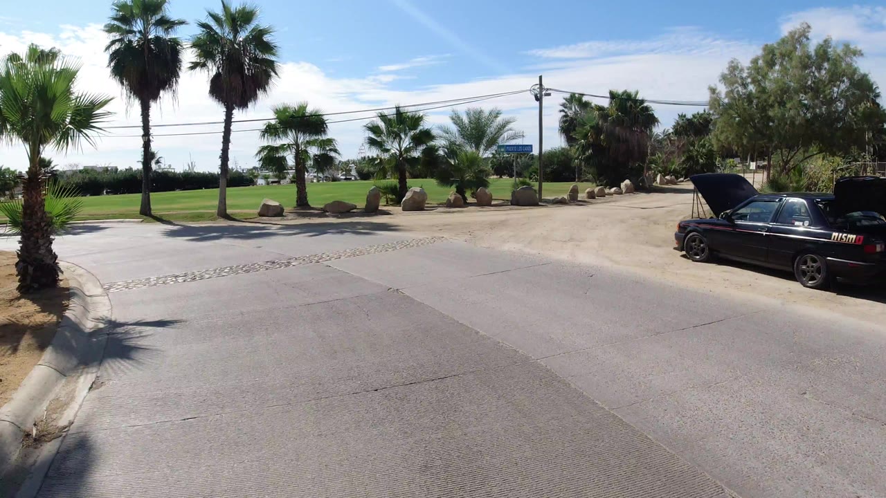 Curved paved road beside palms and a parked black car with hood raised
