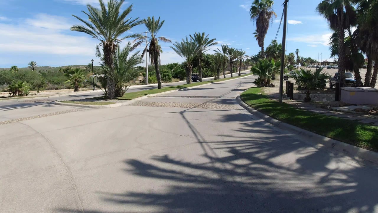 The road view continues in Los Cabos, Mexico, with a slight curve, palms on both sides, low walls, landscaped grass, and no visible people.