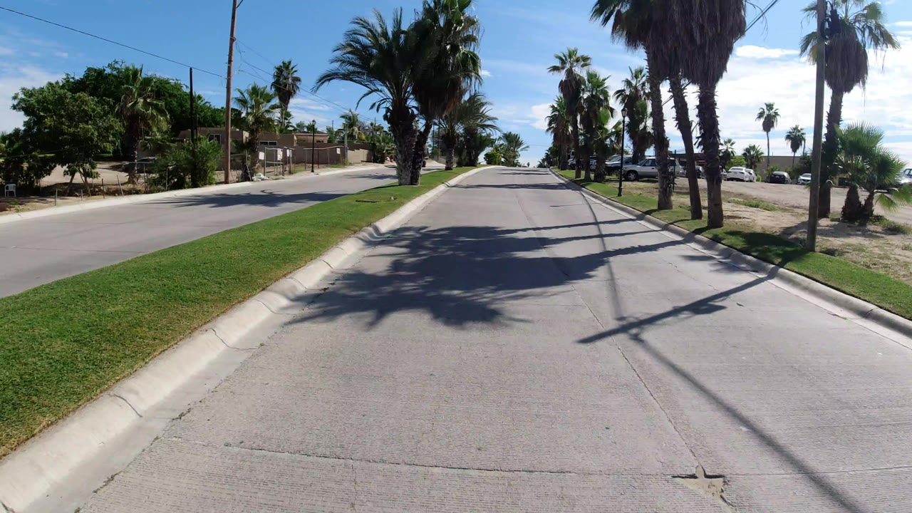 Forward street view in Los Cabos with palm shadows on asphalt, a grass strip, boundary walls, parked vehicles, and no visible people.