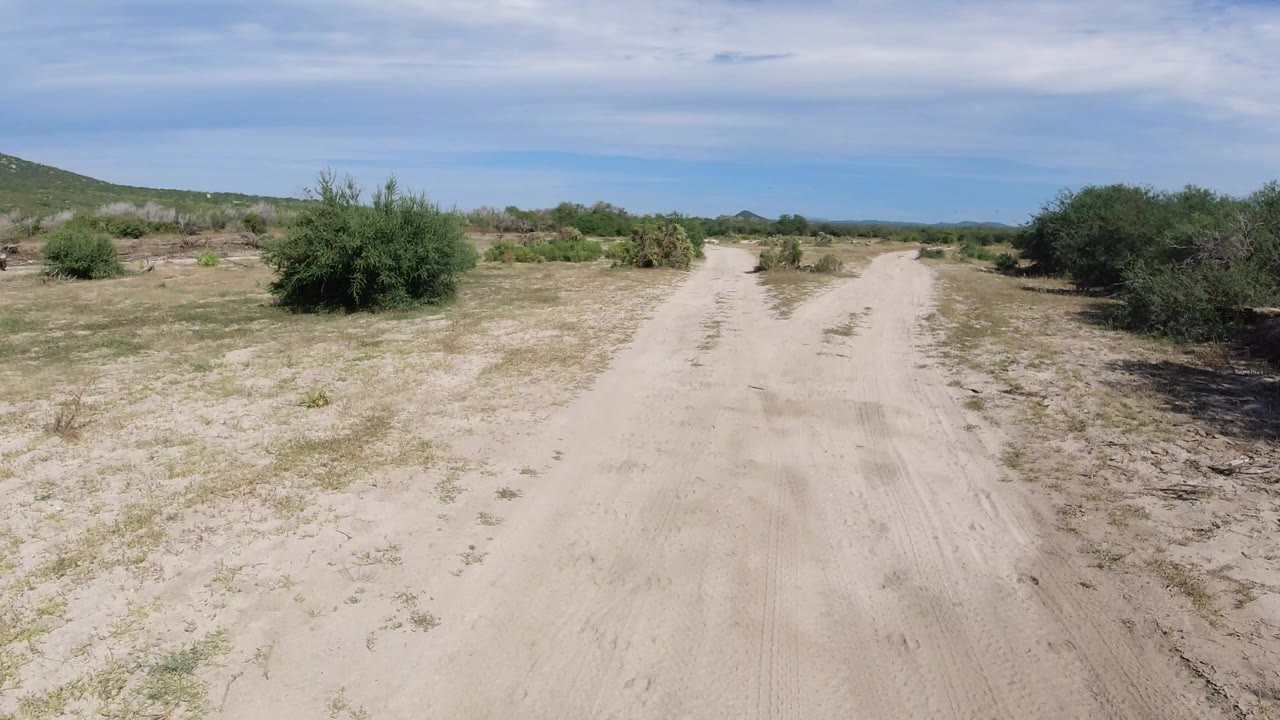 Elevated view of a pale sandy road through Los Cabos desert vegetation, with green shrubs, distant low hills, thin clouds, and no visible people.