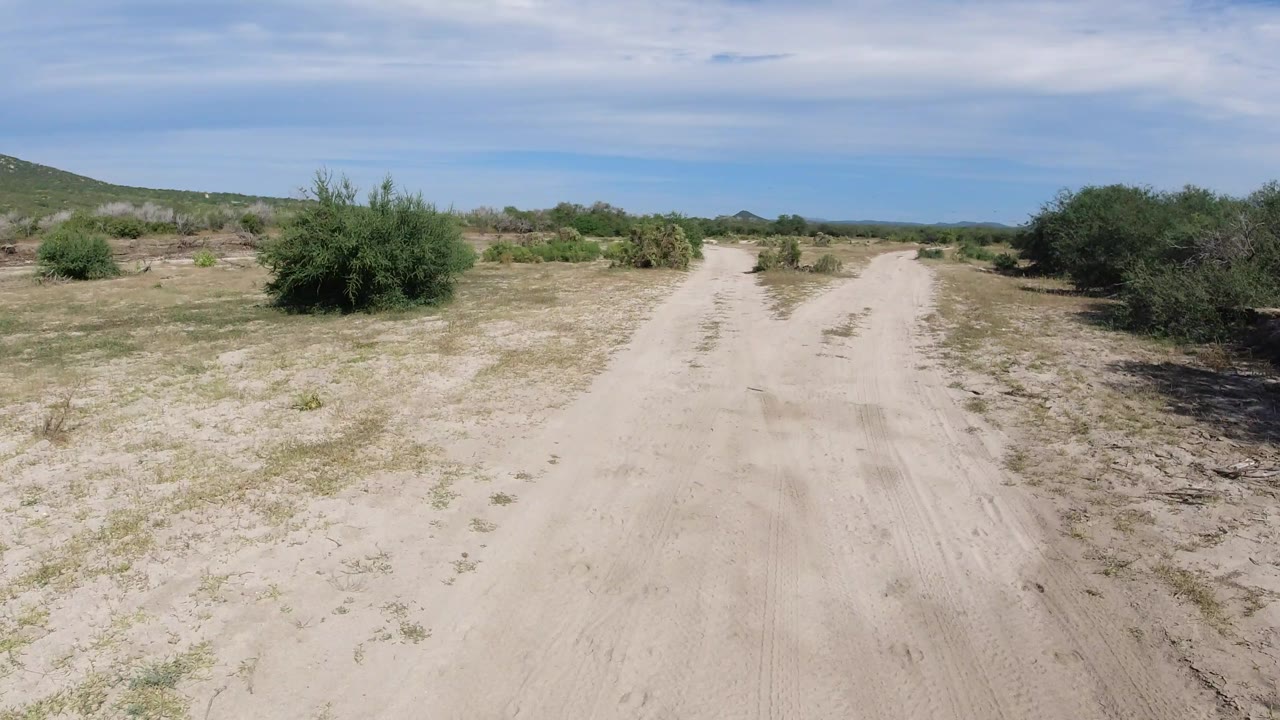 Los Cabos desert track seen from above, with a central sandy lane, cactus-like roadside plants, green brush to the right, distant hills, and no visible people.
