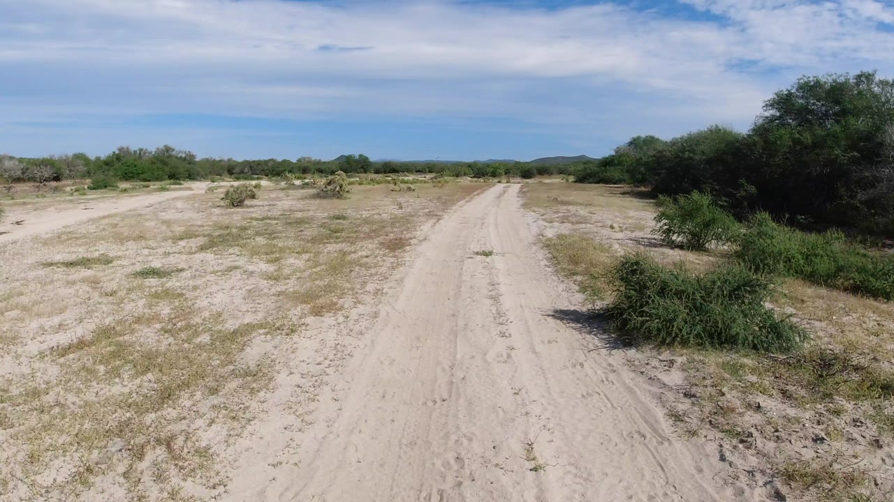 A later view down the Los Cabos dirt track shows the road slightly right of center, open dry ground on the left, dense green brush on the right, and no visible people.