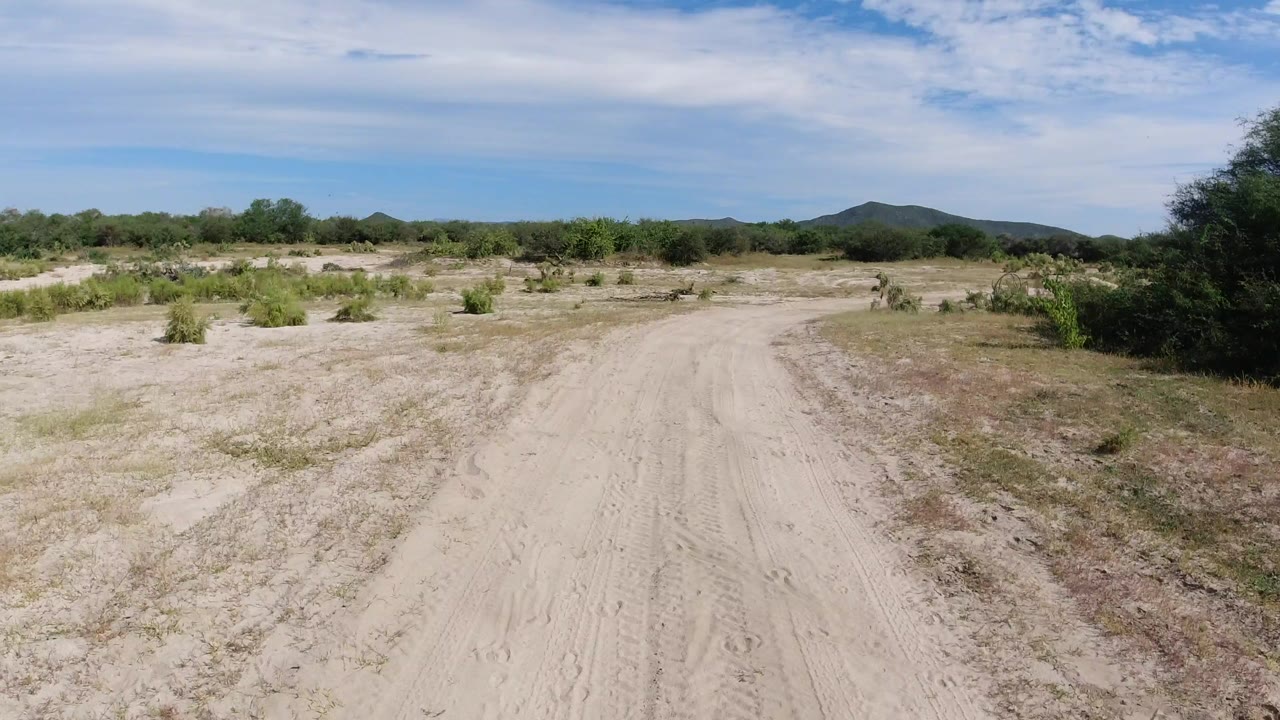 Los Cabos, Mexico dirt road running forward through pale sand, scattered shrubs, low trees, distant hills, thin clouds, and no visible people.