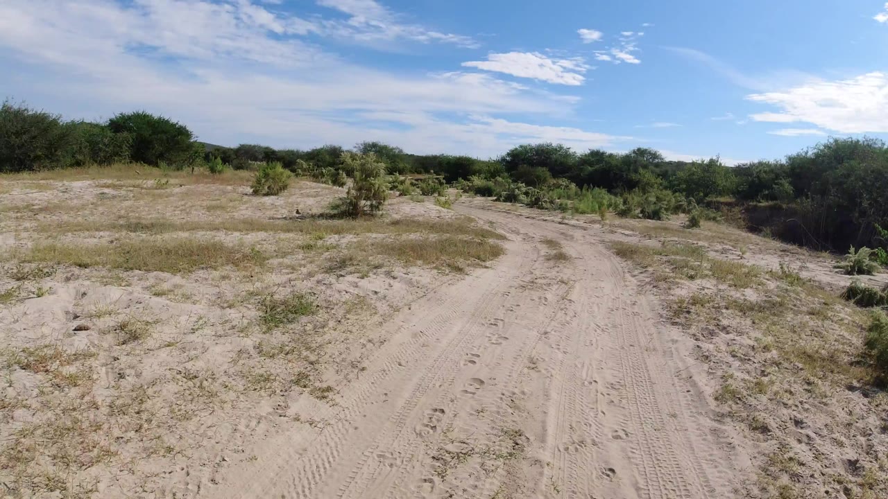 Sandy dirt road through dry scrubland under a bright sky.