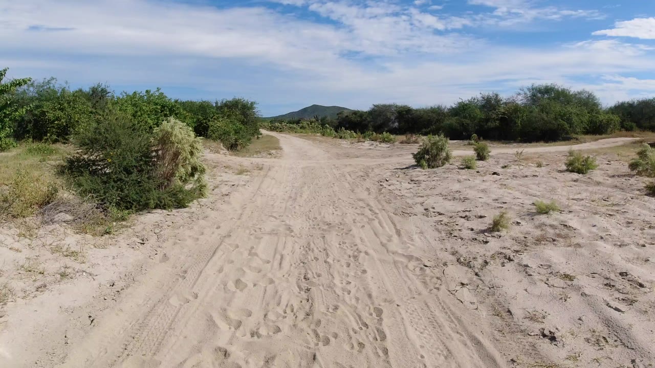 A sandy dirt road in Los Cabos, Mexico runs between low green scrub with distant hills under a partly cloudy blue sky, with no visible people.