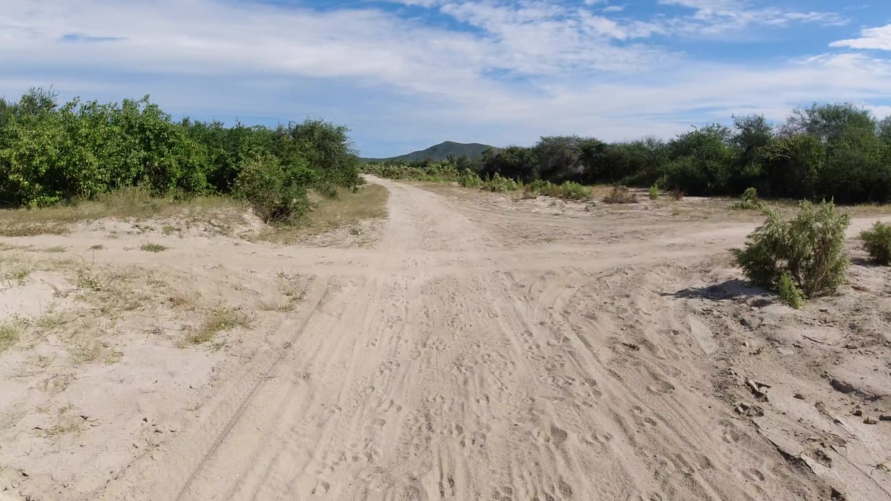 Dirt road curving through dry brush and low hills.