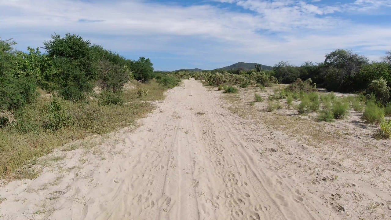 A pale sandy road in Los Cabos, Mexico runs straight through low green desert vegetation toward distant hills, with bright clouds overhead and no visible people.