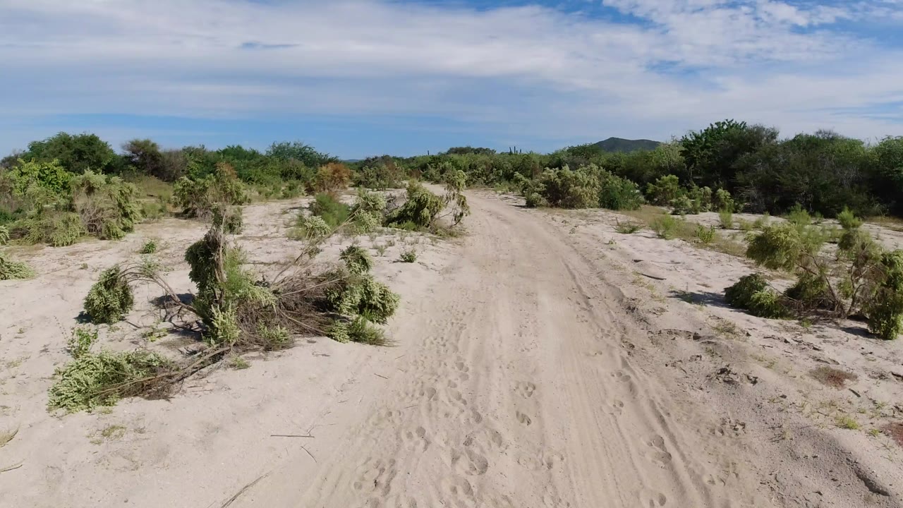 A forward road view in Los Cabos, Mexico, shows pale sand, tire marks, scattered desert vegetation, and a small distant hill with no visible people.