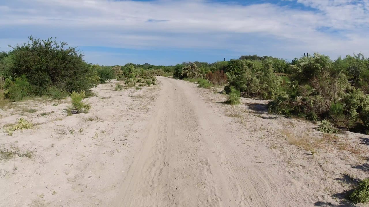 Opening view of a sandy dirt road in Los Cabos, Mexico, bordered by low green desert vegetation under thin clouds, with no visible people.
