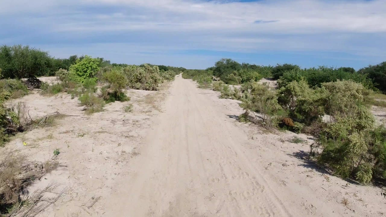 Sandy desert road between low shrubs under a cloudy blue sky.