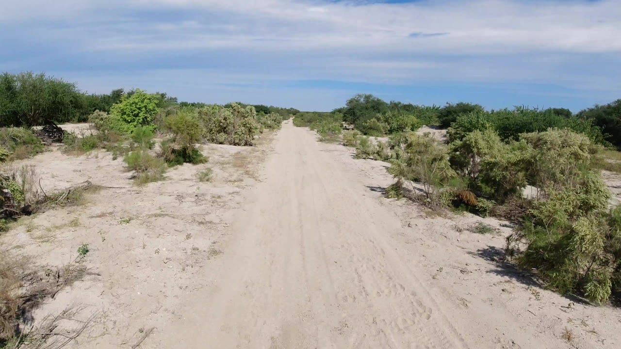 A pale dirt path continues through Los Cabos desert scrub, with green bushes on both sides, soft tire marks in the sand, and no visible people.