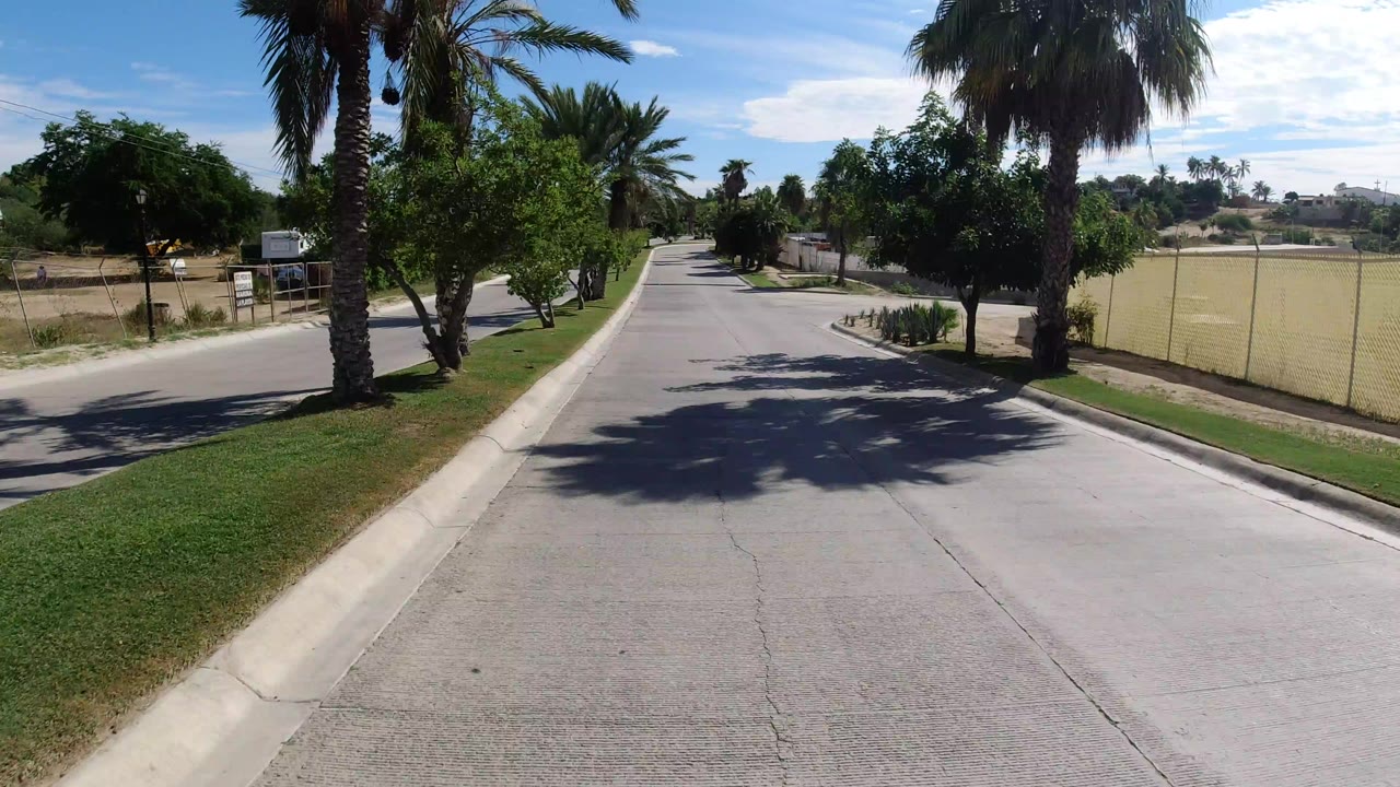Wide road view in Los Cabos with a paved street, curbside grass, tall palms, a fenced dry lot, and no clearly visible people in the foreground.