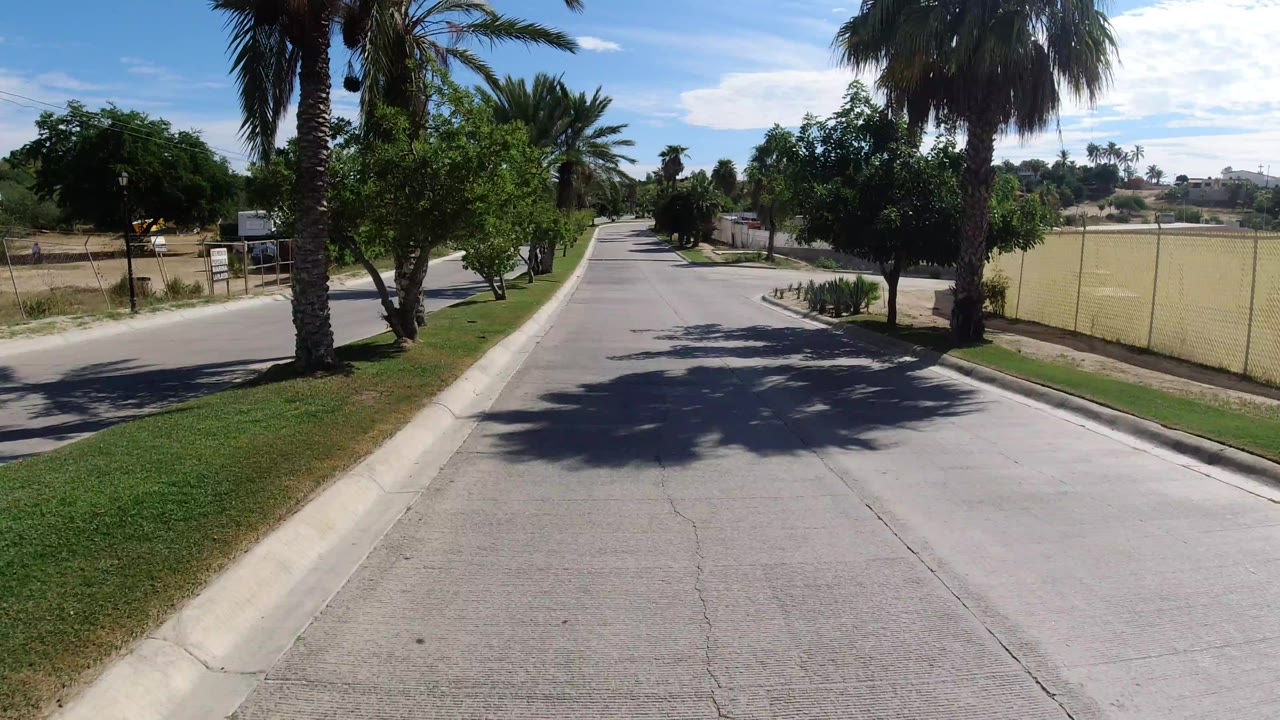 Forward-facing Los Cabos street view with asphalt, curbside grass, palms on both sides, low walls, dry lots, and no visible people.
