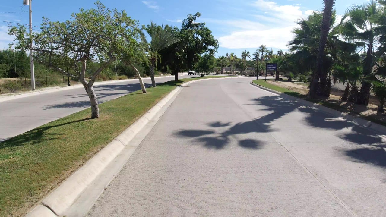 Los Cabos roadway view with a curving lane, planted median edge, palms, low roadside vegetation, and hard sun shadows across the pavement, with no visible people.