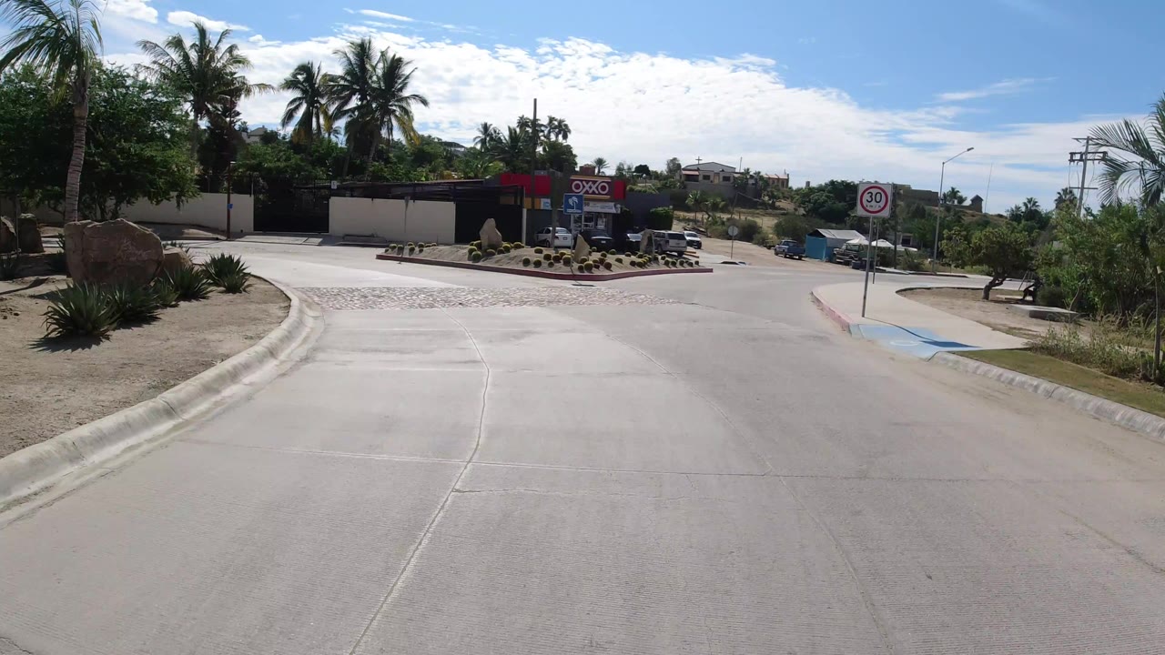 Wide road view with palms, cactus landscaping, and an OXXO storefront ahead.