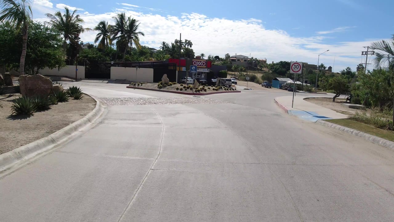 The camera position is closer to the Los Cabos roadside storefront, with a landscaped curb, tall palms, parked cars, hillside homes, and no visible people.