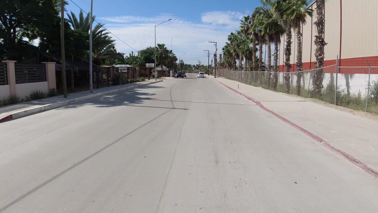 Palm-lined concrete street with fencing and traffic ahead