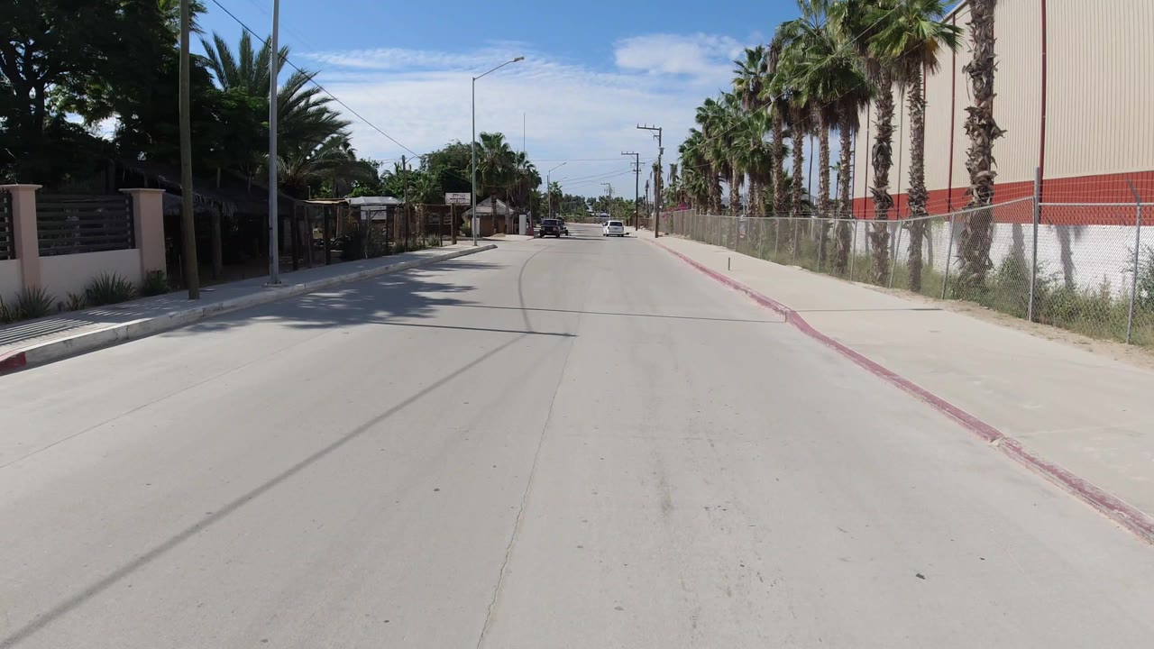 A slightly farther view down the Los Cabos street shows the red curb, sidewalk, fenced building frontage, palms on both sides, distant cars, and no visible people.