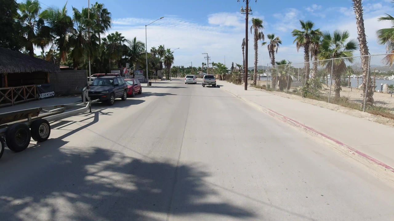 Los Cabos street view continues past parked cars on the left, palms on both sides, a white vehicle ahead, utility poles, and no visible people.