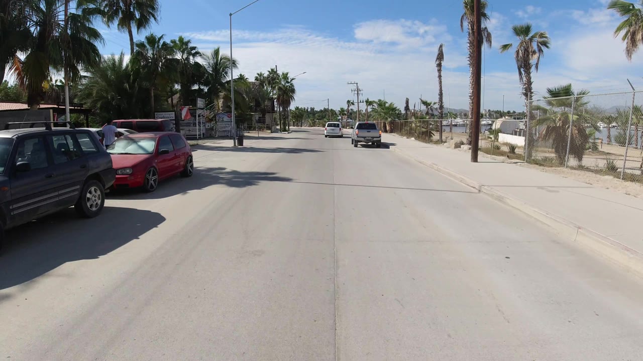Roadside parked SUVs and palms beside a bright street.