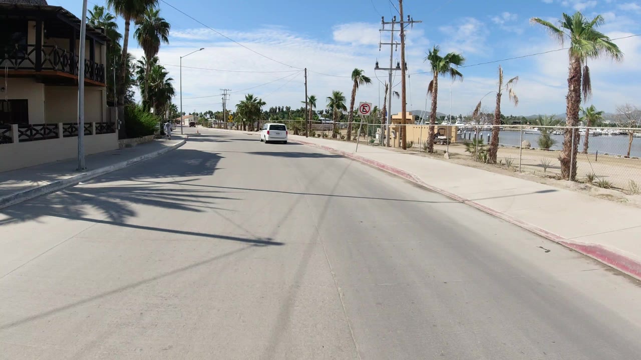 White minivan ahead on a palm-lined road beside beach fencing.