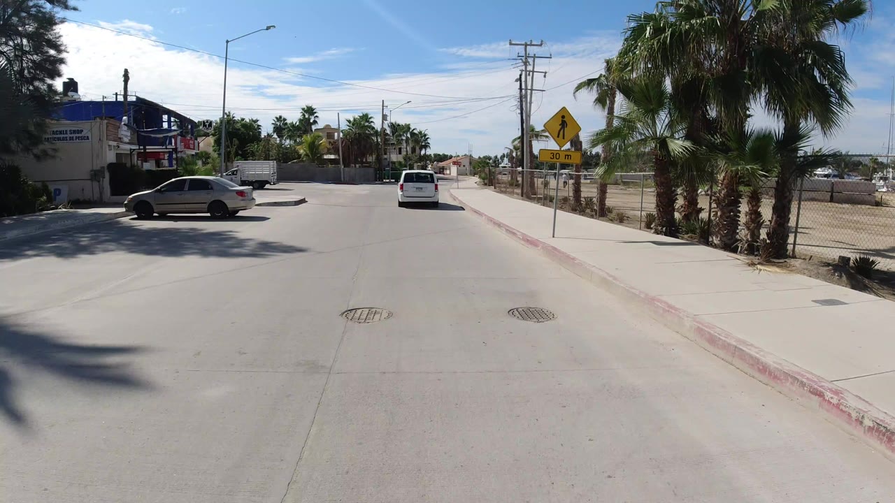 Forward road view with a white van ahead and palm trees on the right.