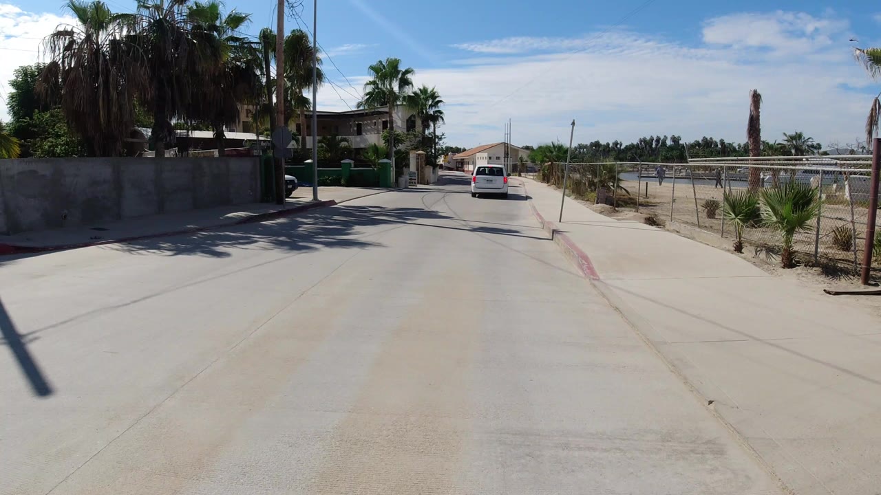 Sunlit concrete street with palms, walls, and a white van ahead.