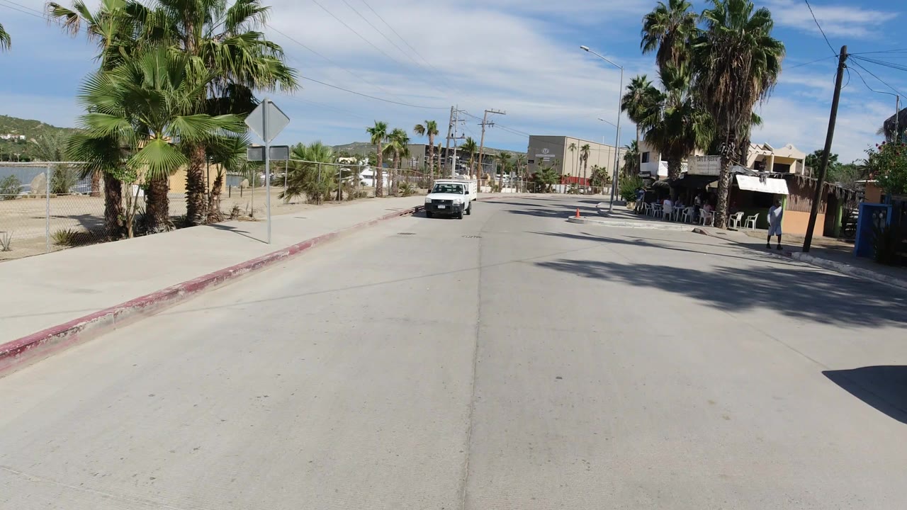 Wide Los Cabos street view with palms on both sides, utility poles, a white pickup far ahead, and low buildings under bright sun.